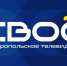 С 29 ноября телеканал ОТР начинает трансляцию программ телеканала «Своё ТВ. Ставропольский край» - Администрация Кочубеевского района