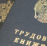 С начала года на Ставрополье переобучились более 2,7 тыс. человек - Kochubeevskiy.Ru